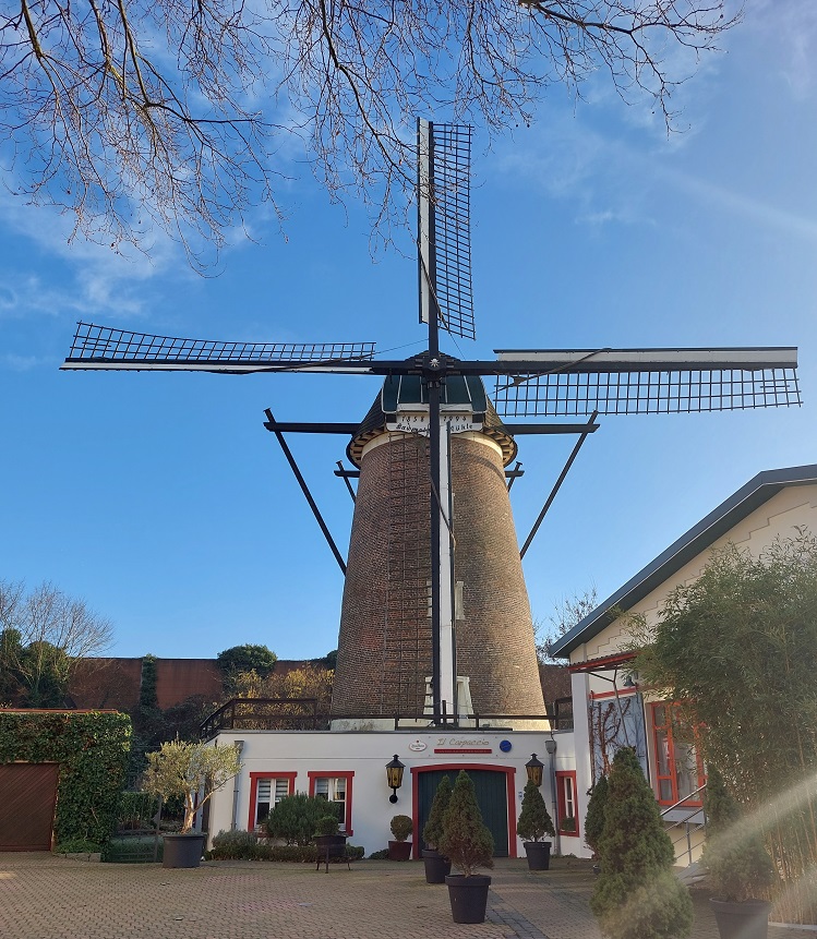 Baumeister Mühle - 2022